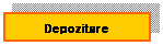 Text Box: Depozitare