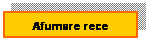 Text Box: Afumare rece