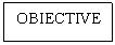 Text Box: OBIECTIVE