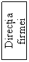 Text Box: Directia firmei