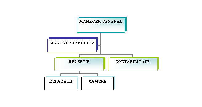 Organization Chart