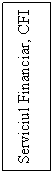 Text Box: Serviciul Financiar, CFI