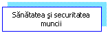 Flowchart: Process: Sanatatea si securitatea muncii