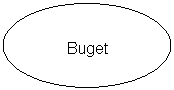 Oval: Buget
