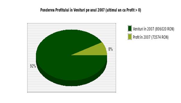 Ponderea Profitului in Venituri pe anul 2006 a FEUERLAND SRL