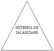 Isosceles Triangle: SISTEMUL DE SALARIZARE