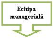 Down Arrow Callout: Echipa manageriala