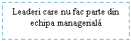 Text Box: Leaderi care nu fac parte din echipa manageriala