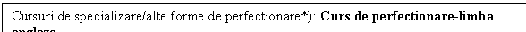 Text Box: Cursuri de specializare/alte forme de perfectionare*): Curs de perfectionare-limba engleza
