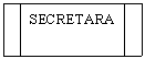 Flowchart: Predefined Process: SECRETARA