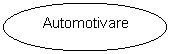 Oval:   Automotivare 