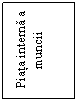 Text Box: Piata interna a muncii