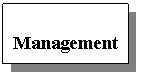 Text Box: Sistem de 
Management
