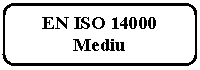 Rounded Rectangle: EN ISO 14000 
Mediu

