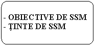 Flowchart: Alternate Process: - OBIECTIVE DE SSM  
- TINTE DE SSM

