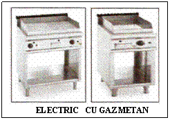 Text Box:  
         ELECTRIC    CU GAZ METAN
