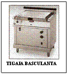 Text Box:  
TIGAIA BASCULANTA
