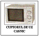 Text Box:  
CUPTORUL DE UZ CASNIC
