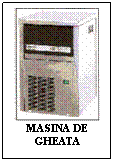 Text Box:  
MASINA DE GHEATA
