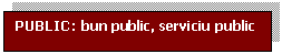 Text Box: PUBLIC: bun public, serviciu public