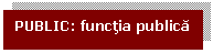 Text Box: PUBLIC: functia publica