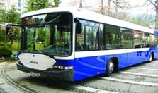 Grivbus autobuzul unei aliante de succes
