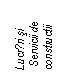 Text Box: Lucrǎri si
 Servicii de constructii
