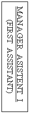 Text Box: MANAGER  ASISTENT  I
(FIRST  ASSISTANT)
