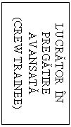 Text Box: LUCRATOR  IN PREGATIRE AVANSATA
(CREW TRAINEE)
