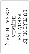 Text Box: LUCRATOR  IN PREGATIRE INITIALA
(CREW  INITIAL)
