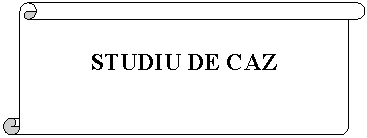 Vertical Scroll: STUDIU DE CAZ
