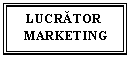 Text Box: LUCRATOR 
 MARKETING
