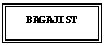 Text Box: BAGAJIST