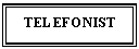 Text Box: TELEFONIST