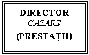 Text Box: DIRECTOR
CAZARE
(PRESTATII)
