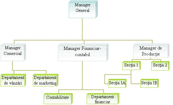 Organization Chart