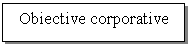 Text Box: Obiective corporative
