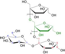 Inulin_strukturformel