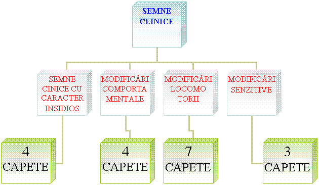 Organization Chart