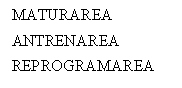 Text Box: MATURAREA
ANTRENAREA
REPROGRAMAREA

