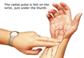 Pulsul radial