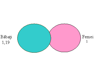 Venn Diagram