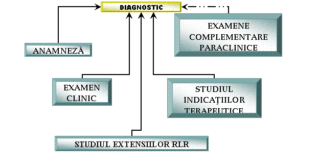 Organization Chart