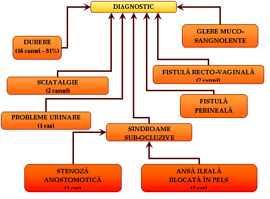 Organization Chart