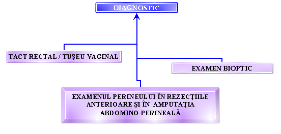 Organization Chart