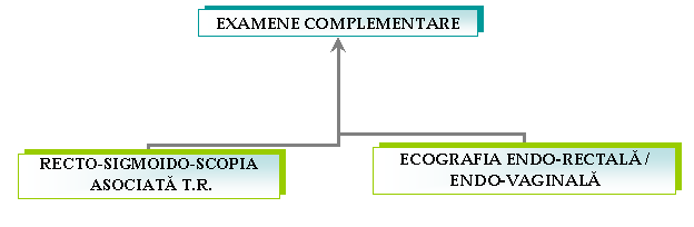 Organization Chart