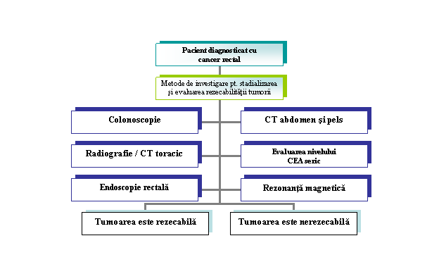 Organization Chart