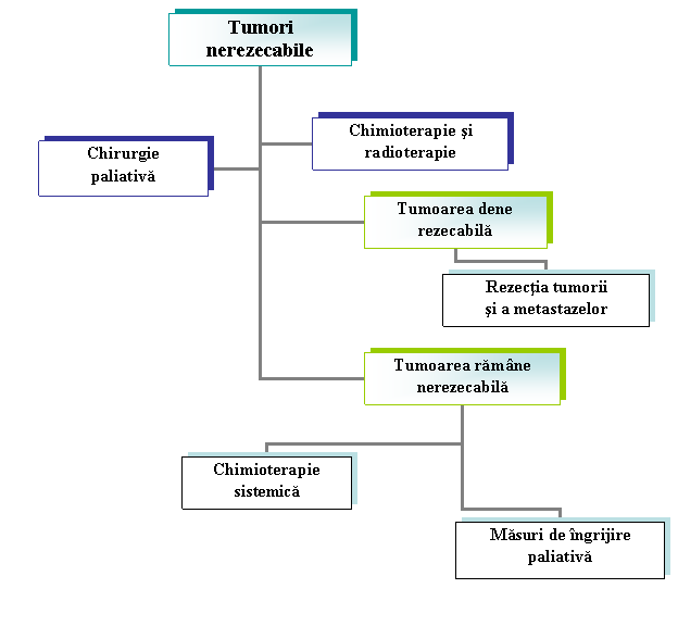 Organization Chart