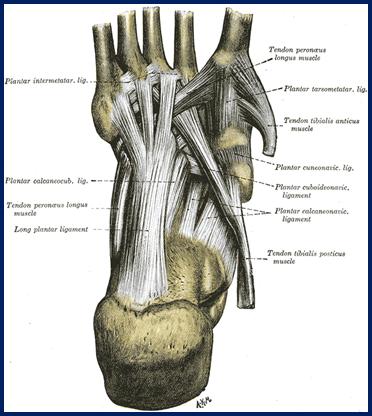 atlas-plansa B (44)