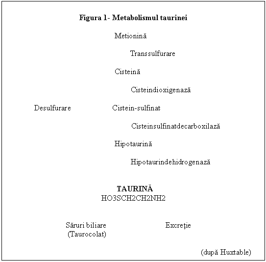 Text Box: Figura 1- Metabolismul taurinei

 Metionina

 Transsulfurare

 Cisteina

 Cisteindioxigenaza

 Desulfurare Cistein-sulfinat

 Cisteinsulfinatdecarboxilaza

 Hipotaurina

 Hipotaurindehidrogenaza

 
 TAURINA
HO3SCH2CH2NH2


 Saruri biliare Excretie
 (Taurocolat)
 
 (dupa Huxtable)
 
